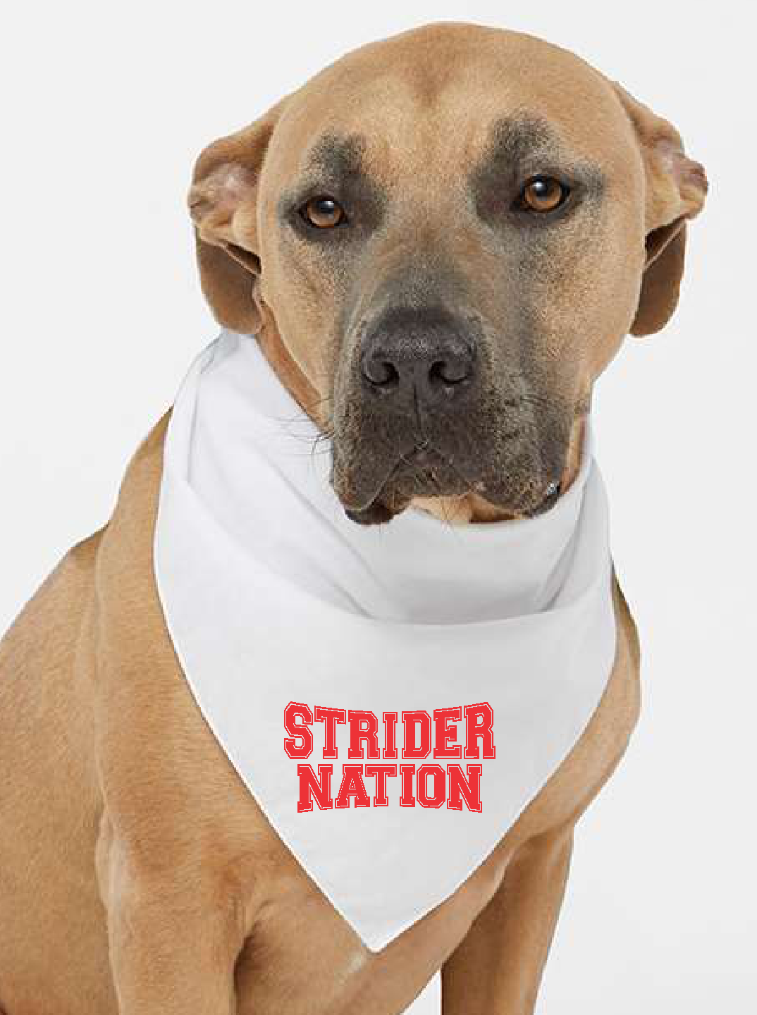 Doggie Skins - USA-Made Doggie Bandana