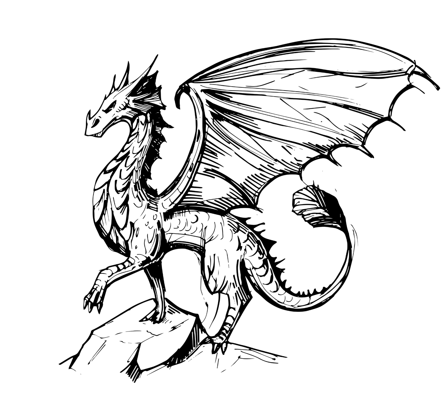 PROTECTOR DRAGON