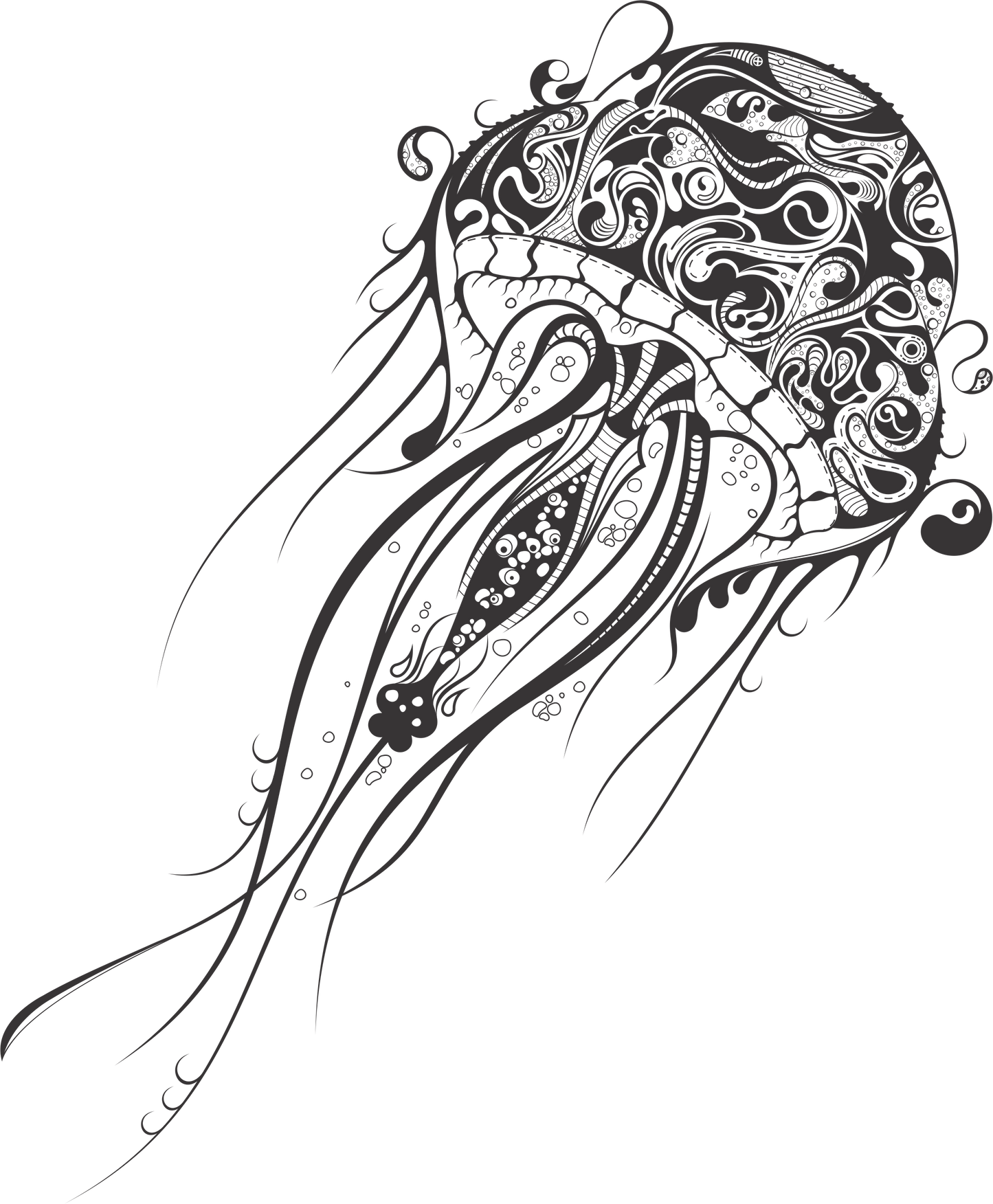 JELLYFISH