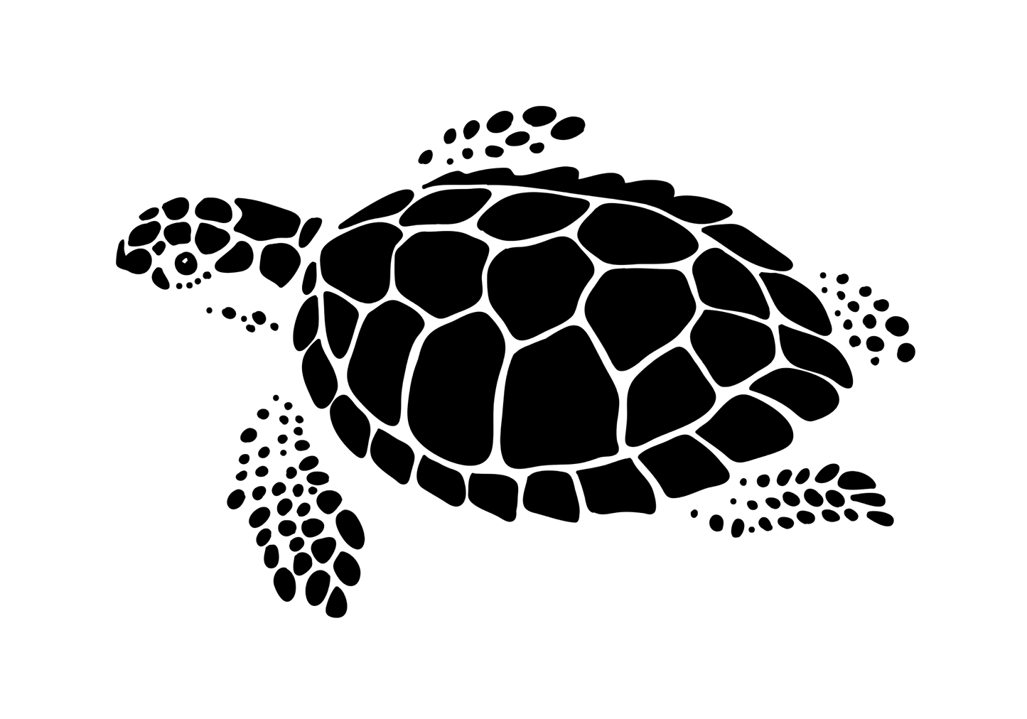 SEA TURTLE