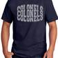 Port & Company® Core Cotton Tee NAVY HEATHER